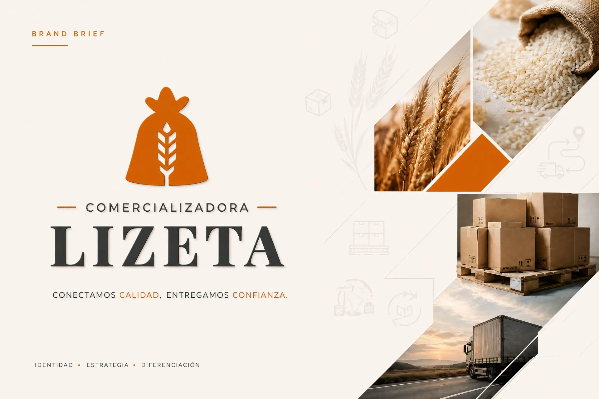 Lizeta brand brief