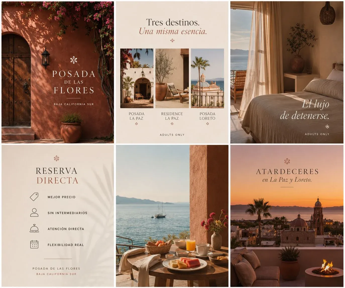 Posada de las Flores · Feed